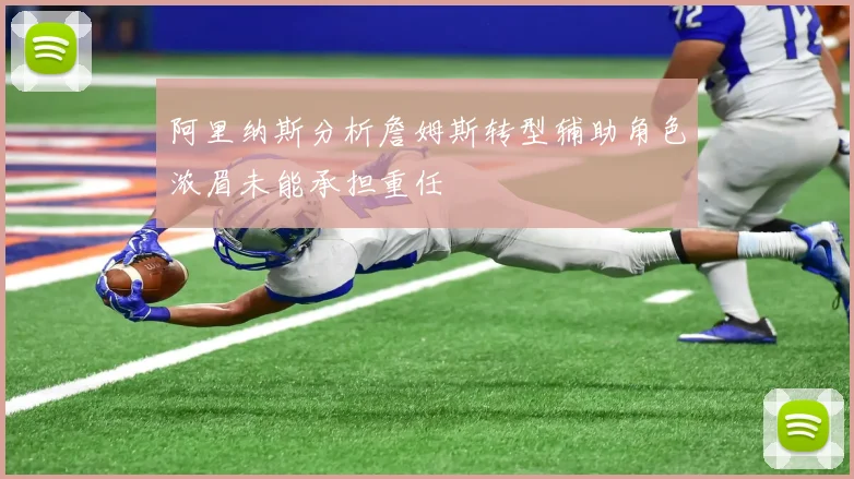 阿里纳斯分析詹姆斯转型辅助角色浓眉未能承担重任